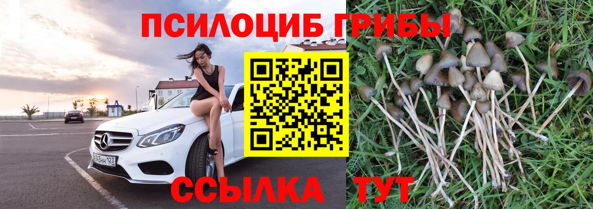 Галлюциногенные грибы Psilocybe  Вход с VPN  Петропавловск-Камчатский 